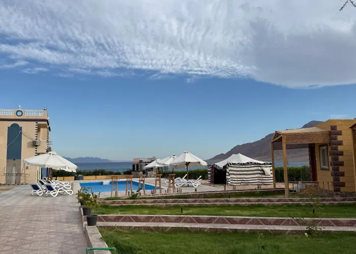 度假村 House Camp